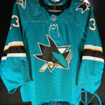 2021-2022 SAN JOSE SHARKS. #33 Adin Hill